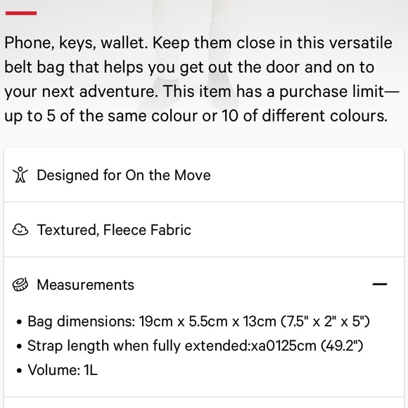 NWT Lululemon Exclusive New Year Fleece Everywhere Belt Bag - Picture 9 of 9